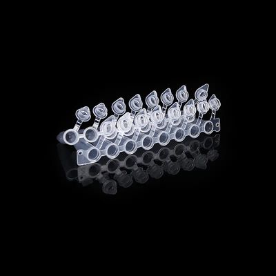Kuppelförmiger Kappen 0.2ml Streifen PCR-Rohr-8 mit befestigtem verbundenem Rohr Kappe PCR acht